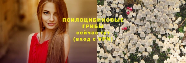 мет Армянск